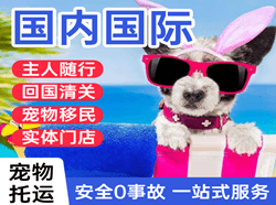 鞍山空运国际宠物托运 【国